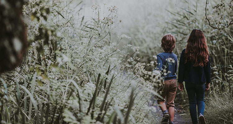 Beware of the “Little Foxes”