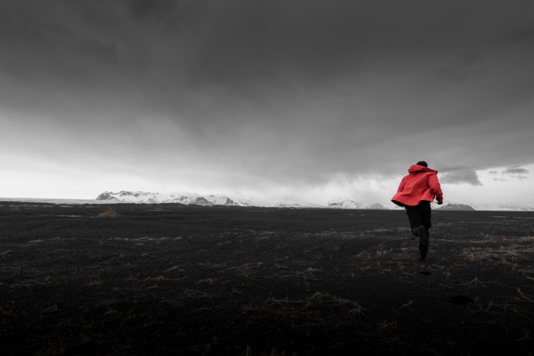 All the King’s Horses and All the King’s Men